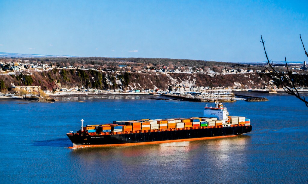 Container ship on a coastal waterway